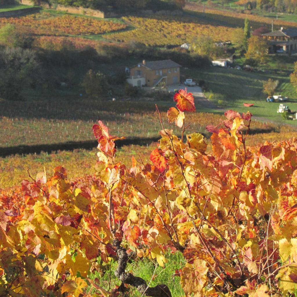 Paysage d'automne