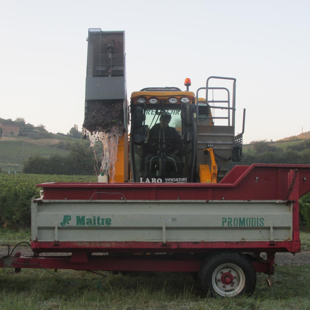 Machine à vendanger